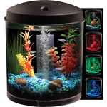 Hawkeye 2 Gallon 360 Starter Aquarium Kit