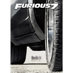 Furious 7 (Widescreen)