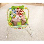 Fisher-Price Rainforest Friends Bouncer